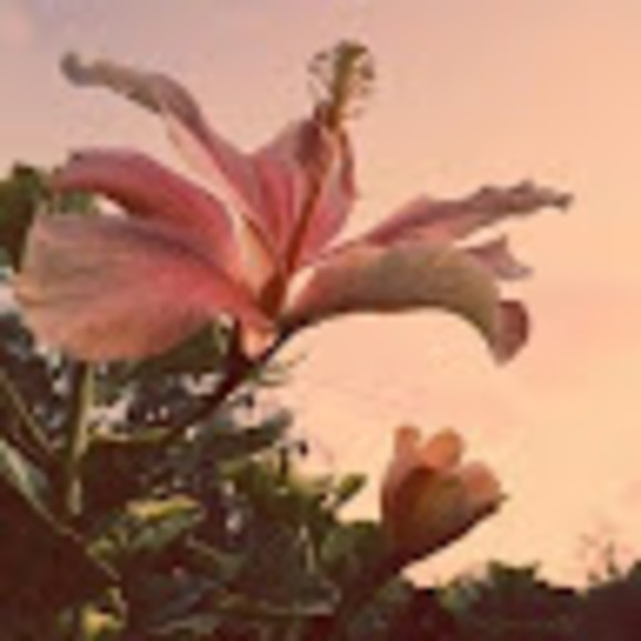 amna_sahi